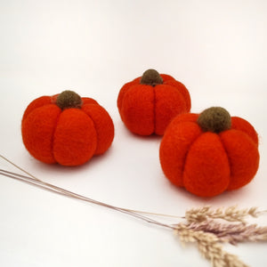 Pick Your Own Felted Halloween Autumn Pumpkins, Blush, Coral, Orange - Pack of 3 - Halloween Autumn Decor